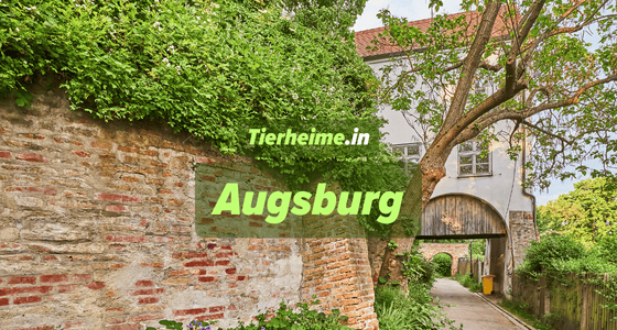 Tierheim Augsburg