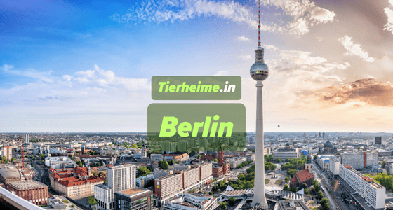 Tierheim Berlin