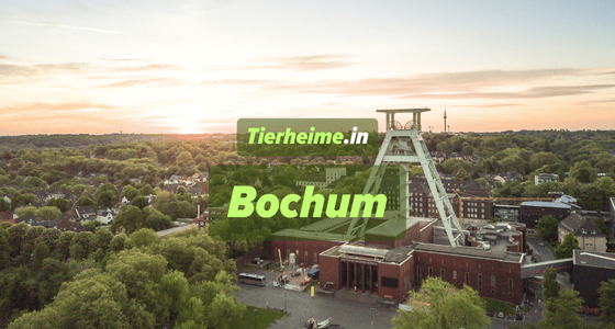 Tierheim Bochum