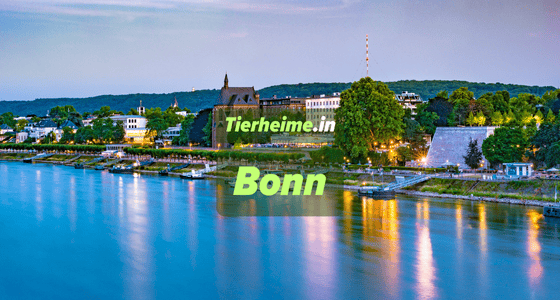 Tierheim Bonn