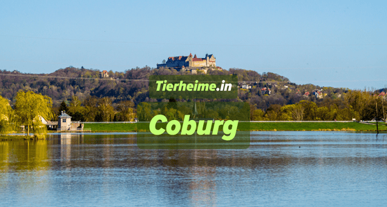 Tierheim Coburg
