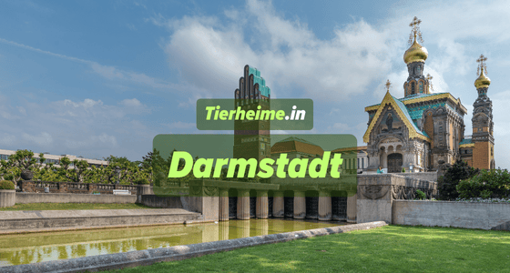 Tierheim Darmstadt