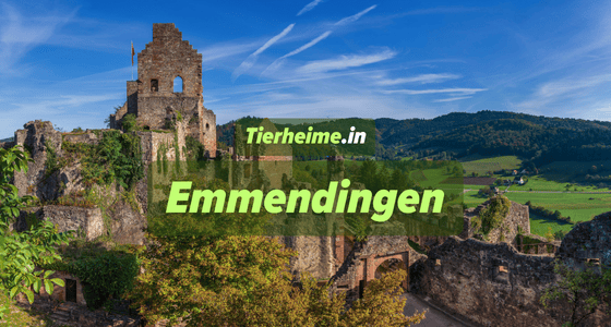 Tierheim Emmendingen