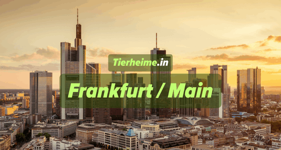 Tierheim Frankfurt am Main