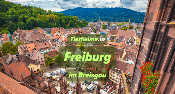Tierheim Freiburg im Breisgau