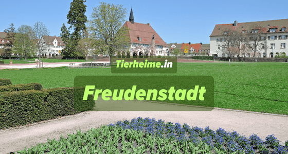 Tierheim Freudenstadt