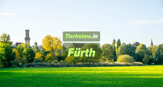 Tierheim Fürth