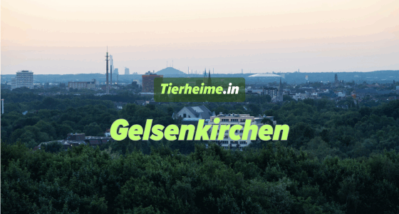 Tierheim Gelsenkirchen