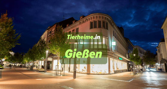 Tierheim Gießen