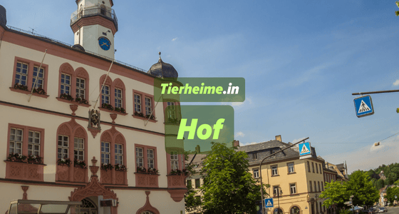 Tierheim Hof