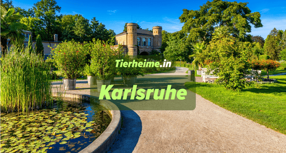 Tierheim Karlsruhe