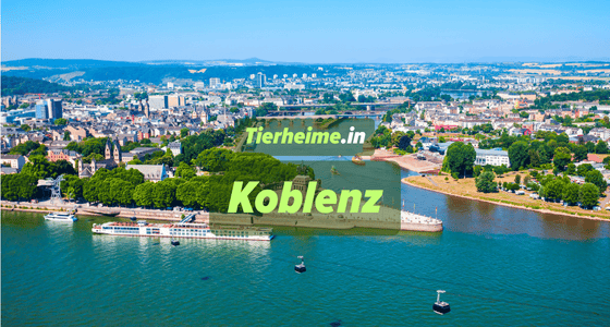 Tierheim Koblenz