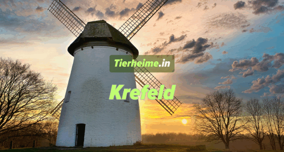 Tierheim Krefeld