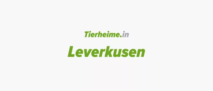 Tierheim Leverkusen