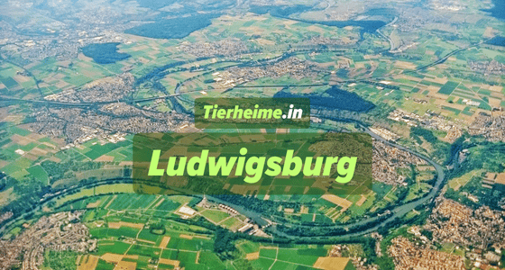 Tierheim Ludwigsburg