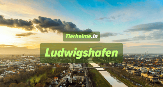 Tierheim Ludwigshafen