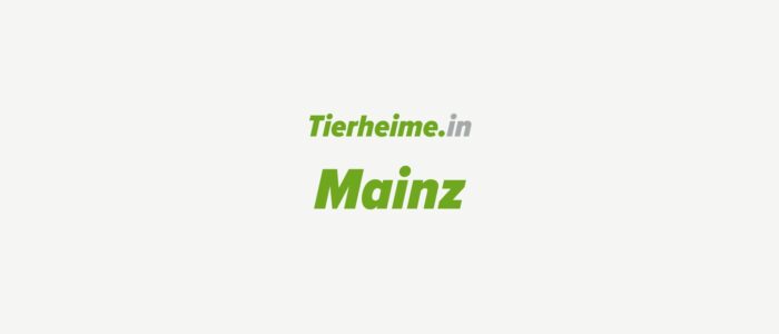 Tierheim Mainz