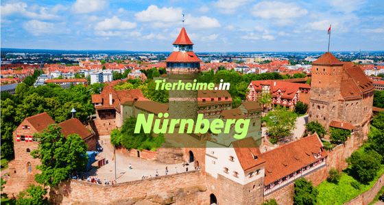 Tierheim Nürnberg