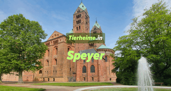 Tierheim Speyer