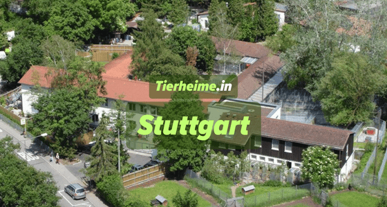 Tierheim Stuttgart
