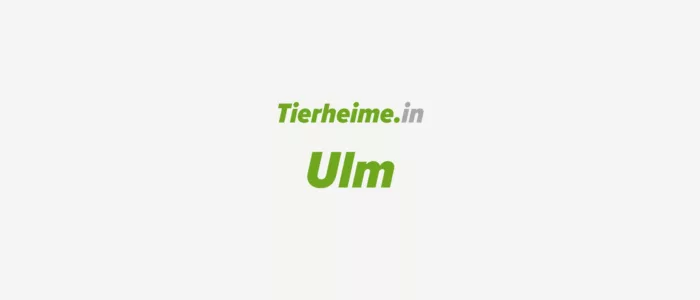 Tierheim Ulm
