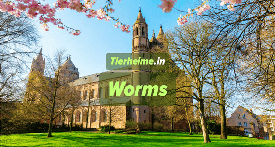 Tierheim Worms