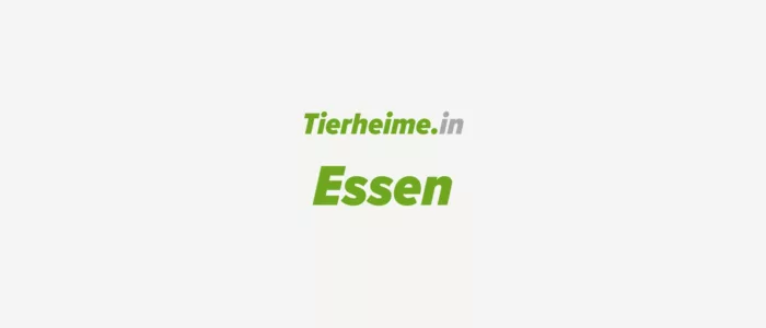 Tierheim Essen