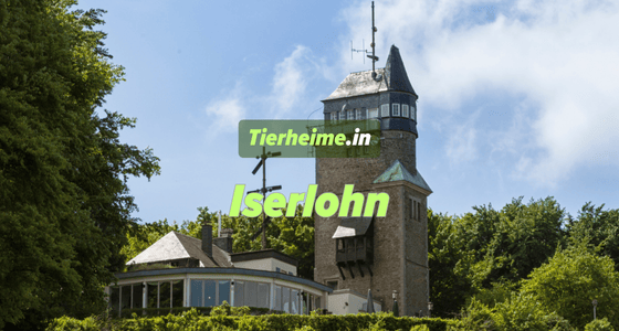 Tierheim Iserlohn