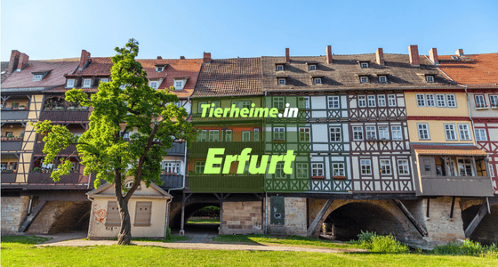 Tierheim Erfurt