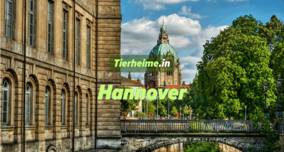 Tierheim Hannover