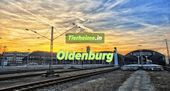 Tierheim Oldenburg