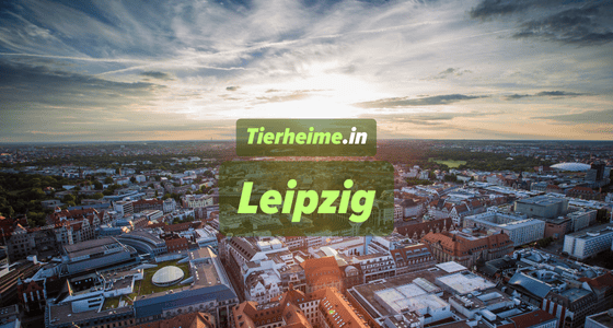 Tierheim Leipzig