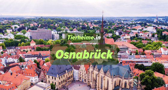 Tierheim Osnabrück