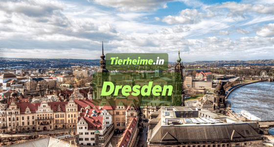 Tierheim Dresden
