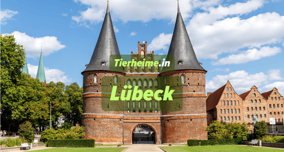 Tierheim Lübeck