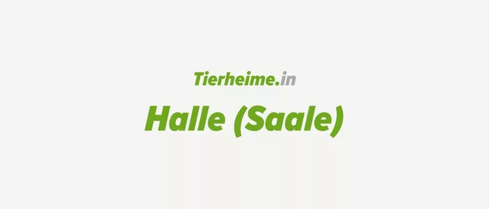 Tierheim Halle (Saale)