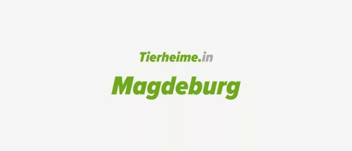 Tierheim Magdeburg