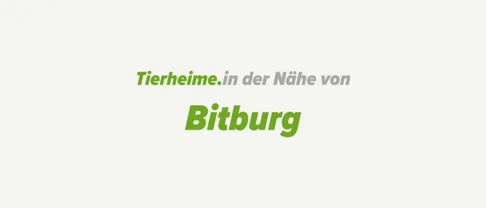 Tierheime in der Nähe von Bitburg