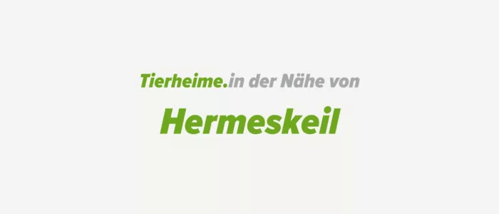 Tierheime in der Nähe von Hermeskeil