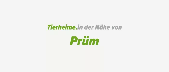 Tierheime in der Nähe von Prüm