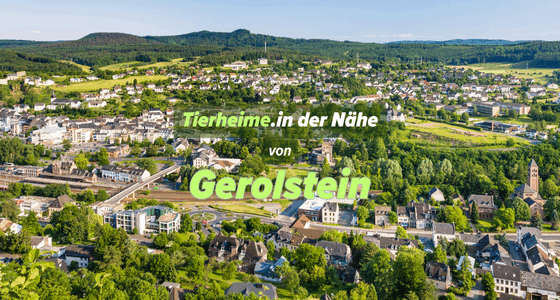 Tierheime in der Nähe von Gerolstein