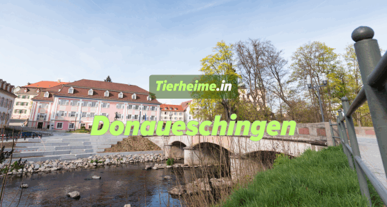 Tierheim Donaueschingen