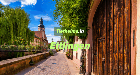 Tierheim Ettlingen