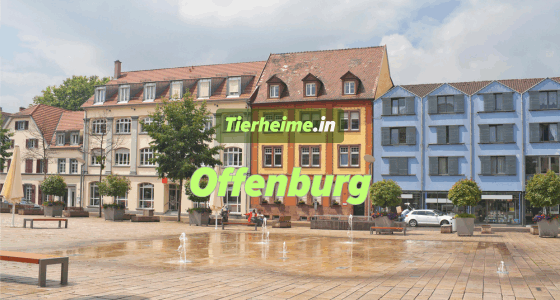Tierheim Offenburg