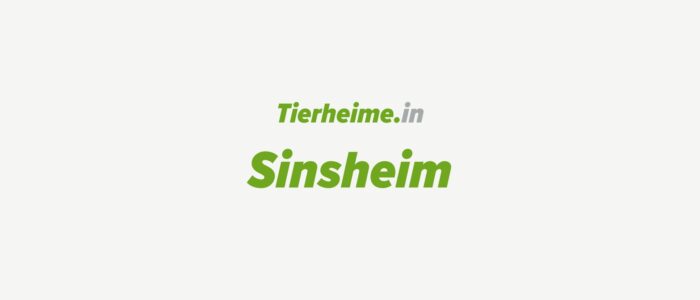 Tierheim Sinsheim