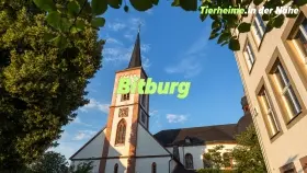 Tierheim Bitburg Umgebung