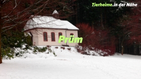 Tierheim Prüm Umgebung