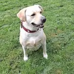 Lilly