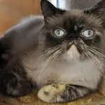 Nalia