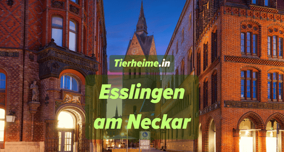 Tierheim Esslingen am Neckar